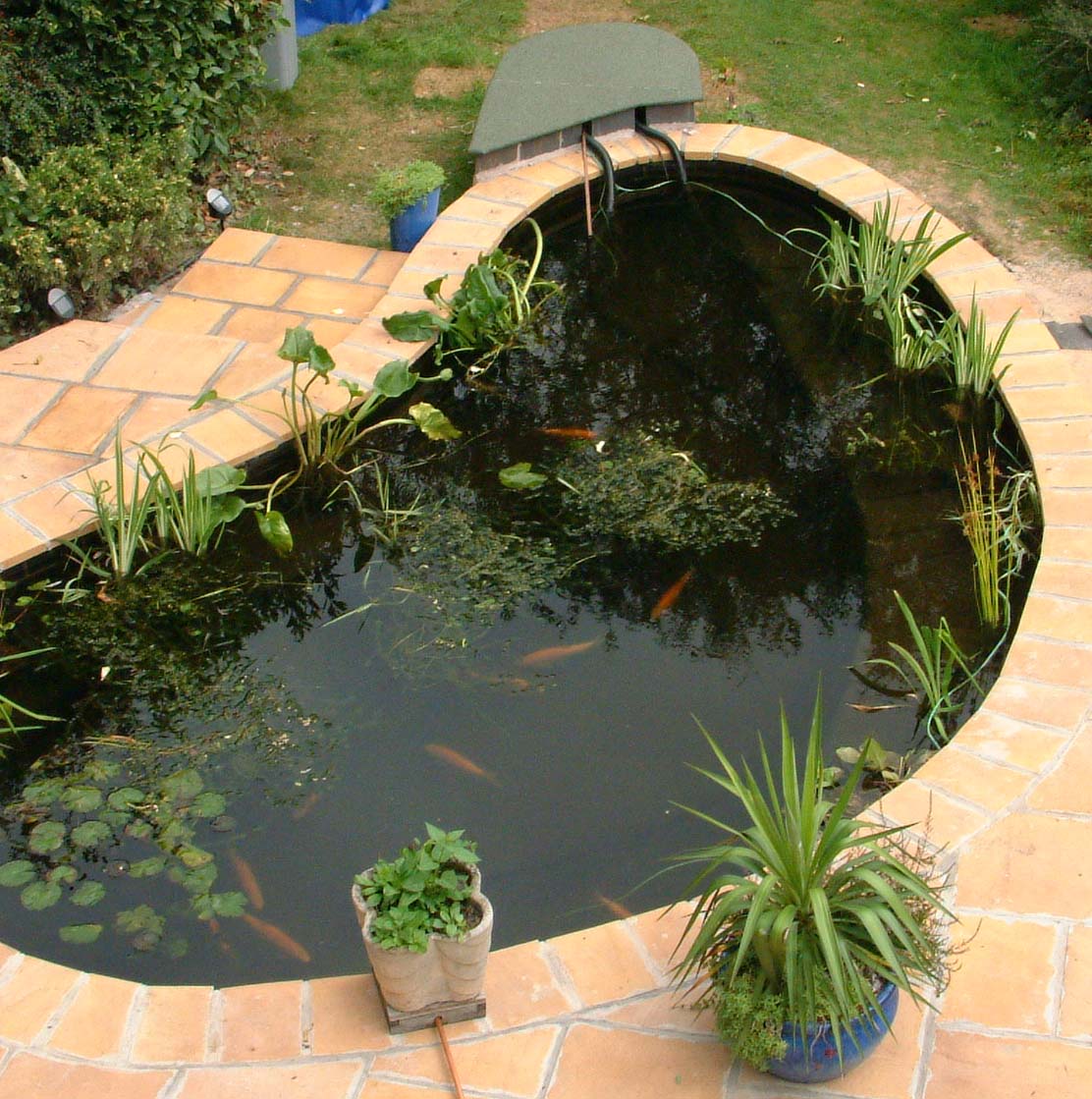 How To Cover A Pond at Lynn Calvert blog